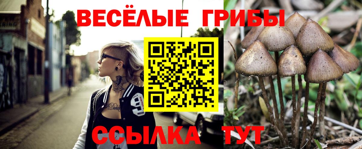 Чехов  Галлюциногенные грибы ЛСД  Вход с VPN  Псилоцибиновые грибы Magic Shrooms 